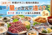 【2026最新 | 実食レポ】料理がすごい高知の民宿は「量」の次元が違う？カツオ・清水サバが溢れる凄腕宿5選と攻略法
