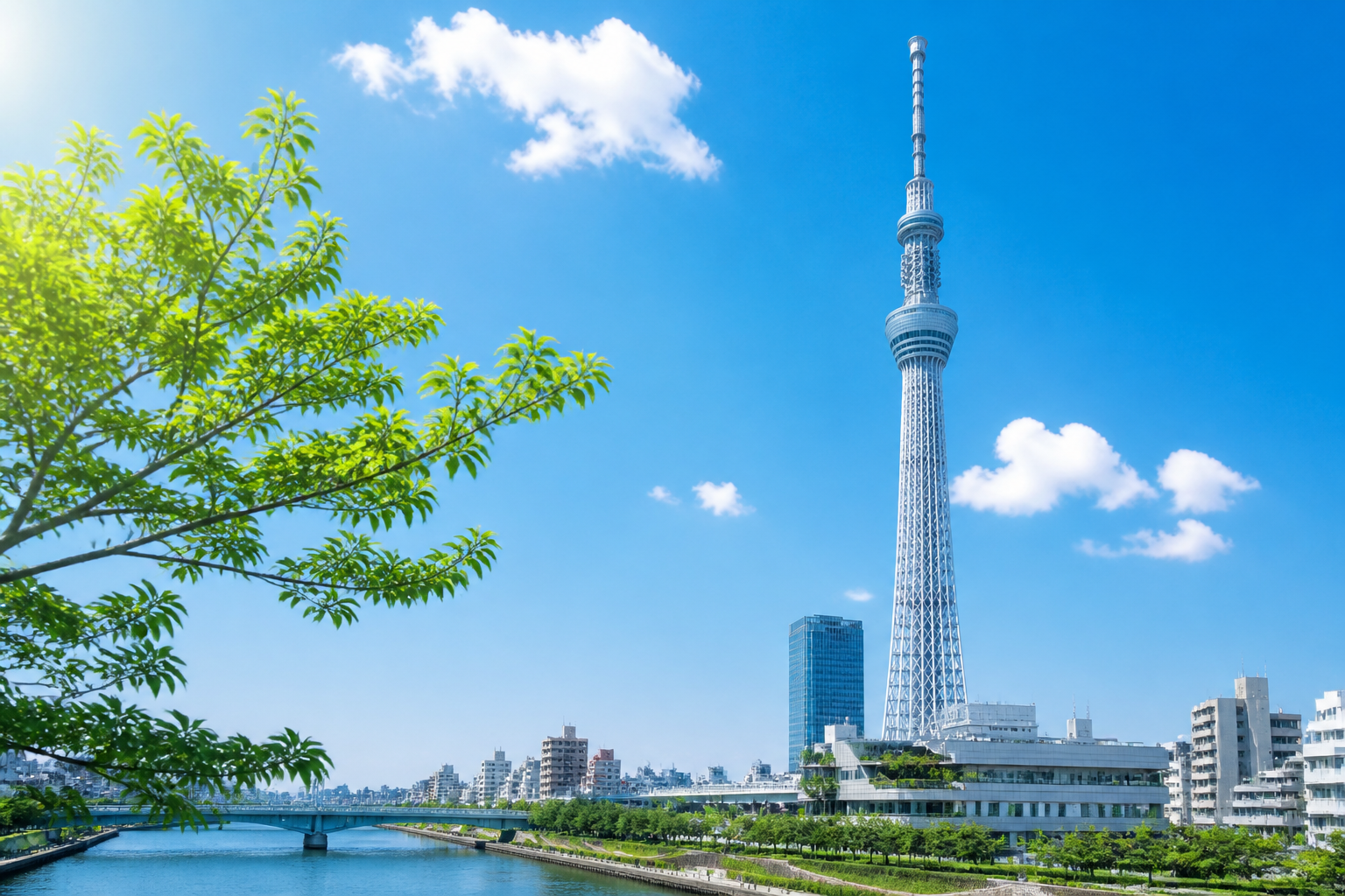 平日午前10時のスカイツリー、待ち時間の正体は？